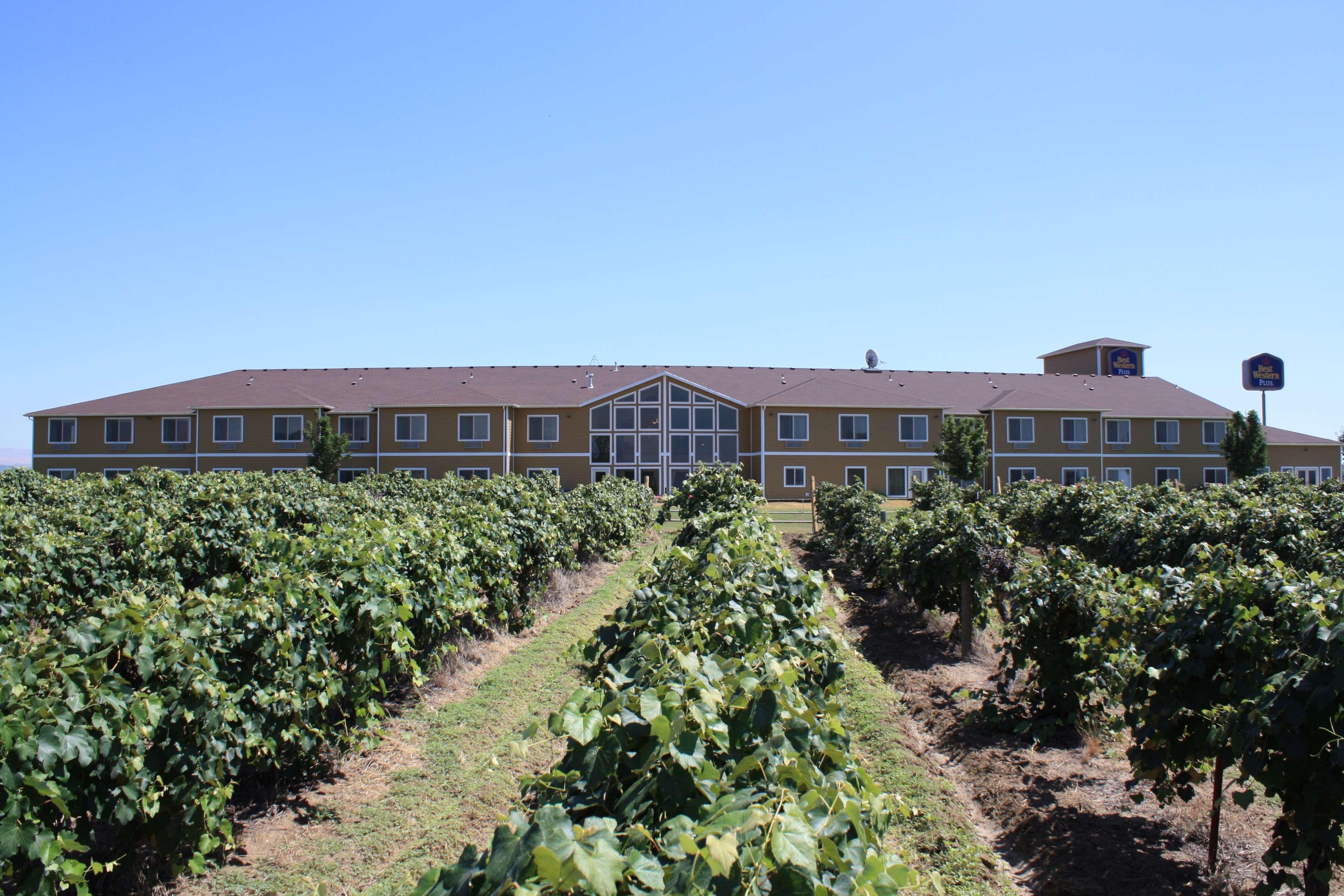 Best Western Plus Grapevine Inn Sunnyside Exterior foto